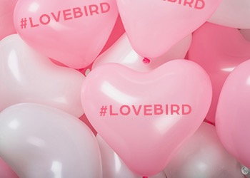 Specialty Balloon Printers A Memorable Marketing Tool